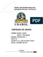 306701129-EMPAQUE-DE-GRAVA-pdf.pdf
