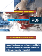 RCP Neonatal PDF