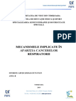 Mecanismele Implicate În Apariția Cancerelor Respiratorii