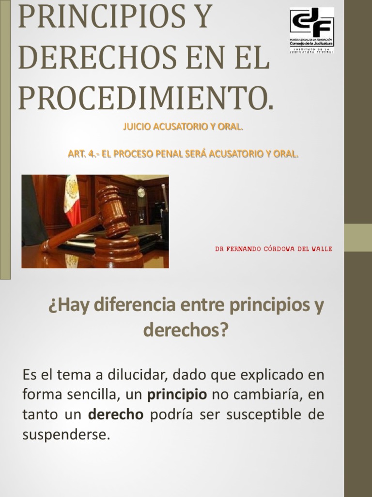Principios y Derechos en El Procedimiento. | PDF | Presunción de ...