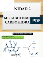 3 METABOLISMO CARBOHIDRATOS