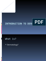 Introduction to skin.ppt