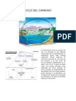 analisis bio (1)