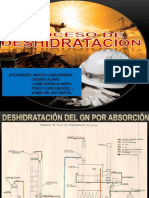 PROCESO DE DESHIDRATACION.pptx