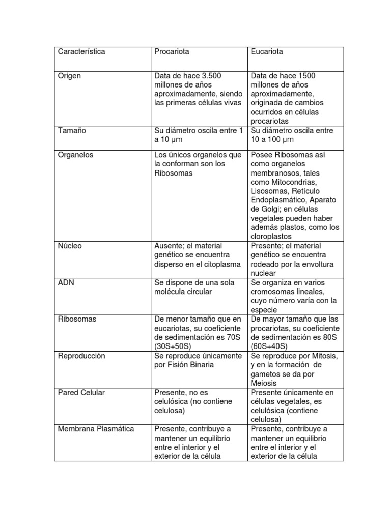 Comparativa de Células Procariotas y Eucariotas | PDF | Ribosoma ...