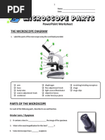 13 - Microscope Parts - PowerPoint Worksheet