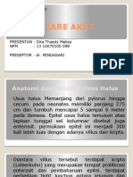 PPT DIARE.pptx