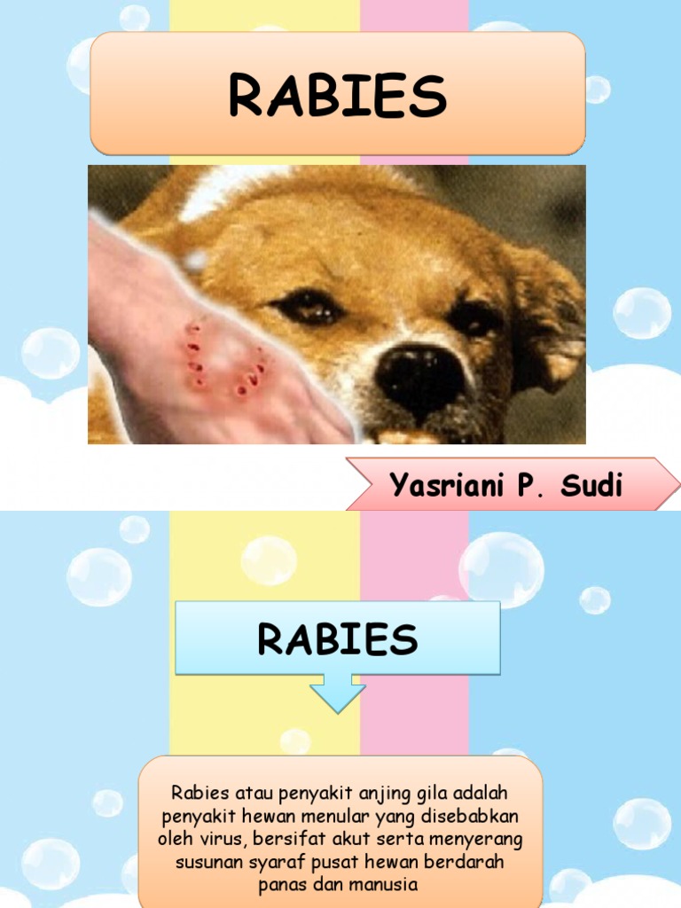 Penyuluhan Rabies | PDF | Kesehatan Holistik