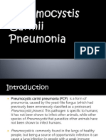 Pneumocytis Carinii Pneumoni