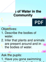 Bodies of Water in The Community