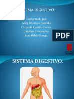 Sistema Digestivo.