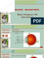 BAGIAN-MATA.pptx