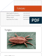 Tungau 3