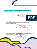 Reguli de Redactare A Proiectului de Competente Nivel 4