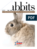 Rabbit Low Res RGB Sept 2009 PDF