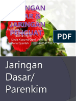 Jaringan Dasar & Penyokong - FIX