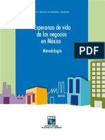 2015- Esperanza de Vida PYMES Mexico