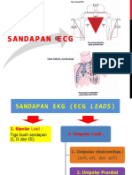 11. Contoh Spo