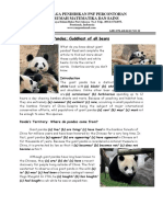 Pandas: Cuddly Black and White Bears