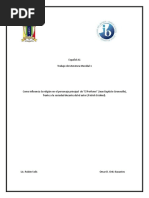 Download Ensayo de Religion en libro El Perfume patrck suskind by Omar D Ortiz SN41146615 doc pdf