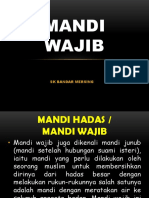 MANDI Hadas