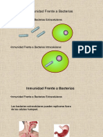 L inmunologia frente a bacterias 