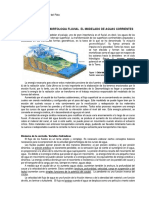 2017_geomorfologia Fluvial. El Modelado de Aguas Corrientes _texto