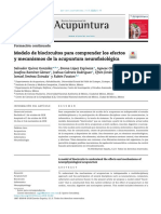 Acupuntura: Modelo de Biocircuitos para Comprender Los Efectos y Mecanismos de La Acupuntura Neurofisiológica