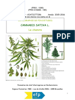 Monographie Chanvre - Cannabis (26-05-19) by G Coutellier