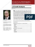 MB6The Five C S of Credit Analysis PA18072016