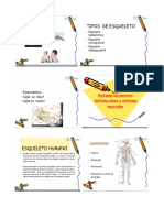 Diapositiva Sistema Oseo