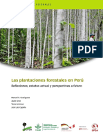 Plantaciones Forestales en El Perú