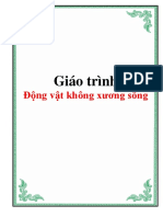 Tai Lieu Giao Trinh Dong Vat Khong Xuong Song