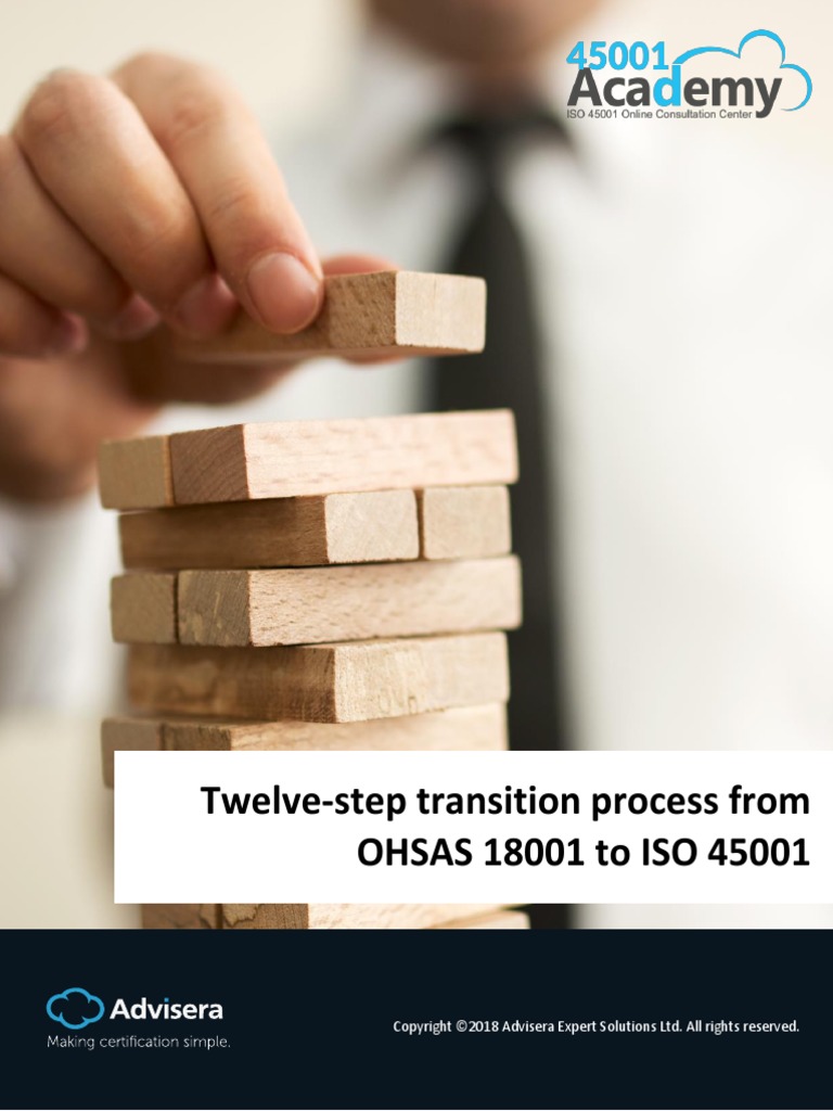Twelve Step Transition Process | PDF | Regulatory Compliance | Risk