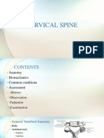 0 - Cervical Spine Assessment-1