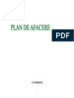 Plan de Afaceri