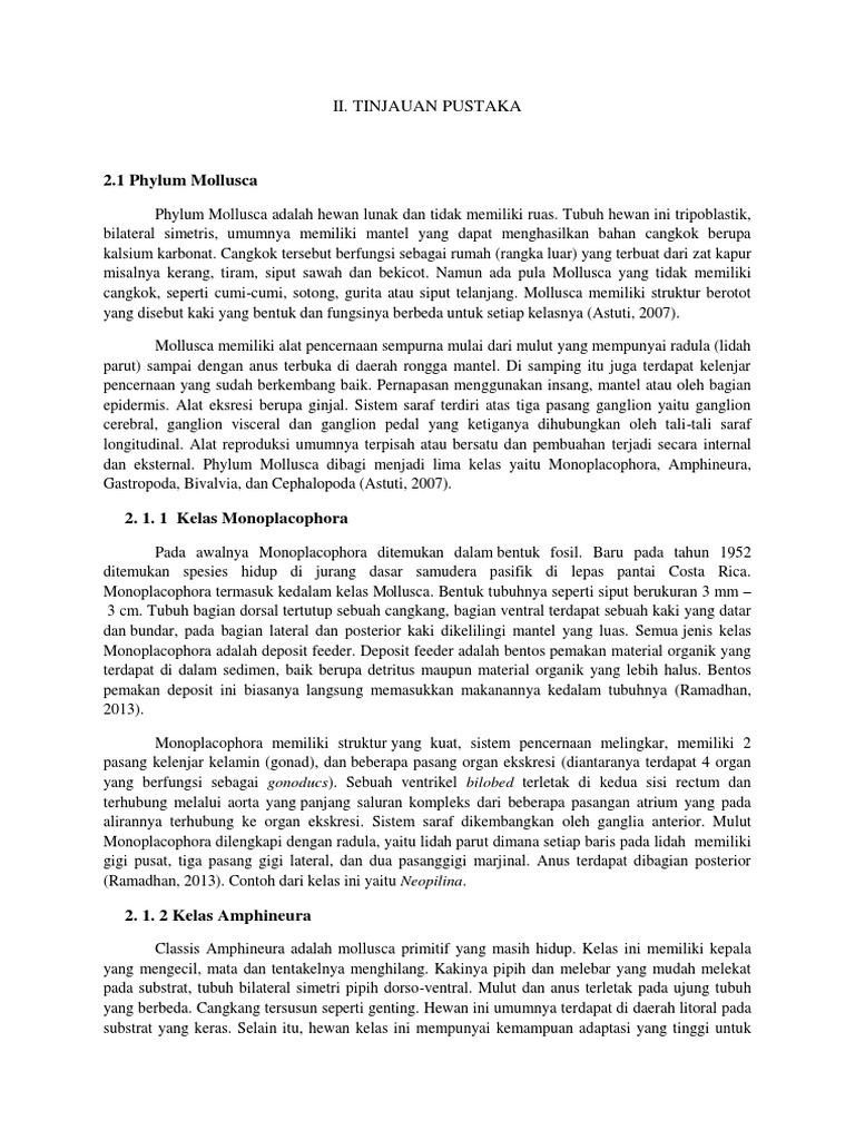 Tinjauan Pustaka Filum Mollusca