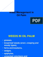 Weed Management in Oil Palm