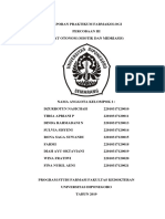 Laporan Praktikum Farmakologi Obat Otonom