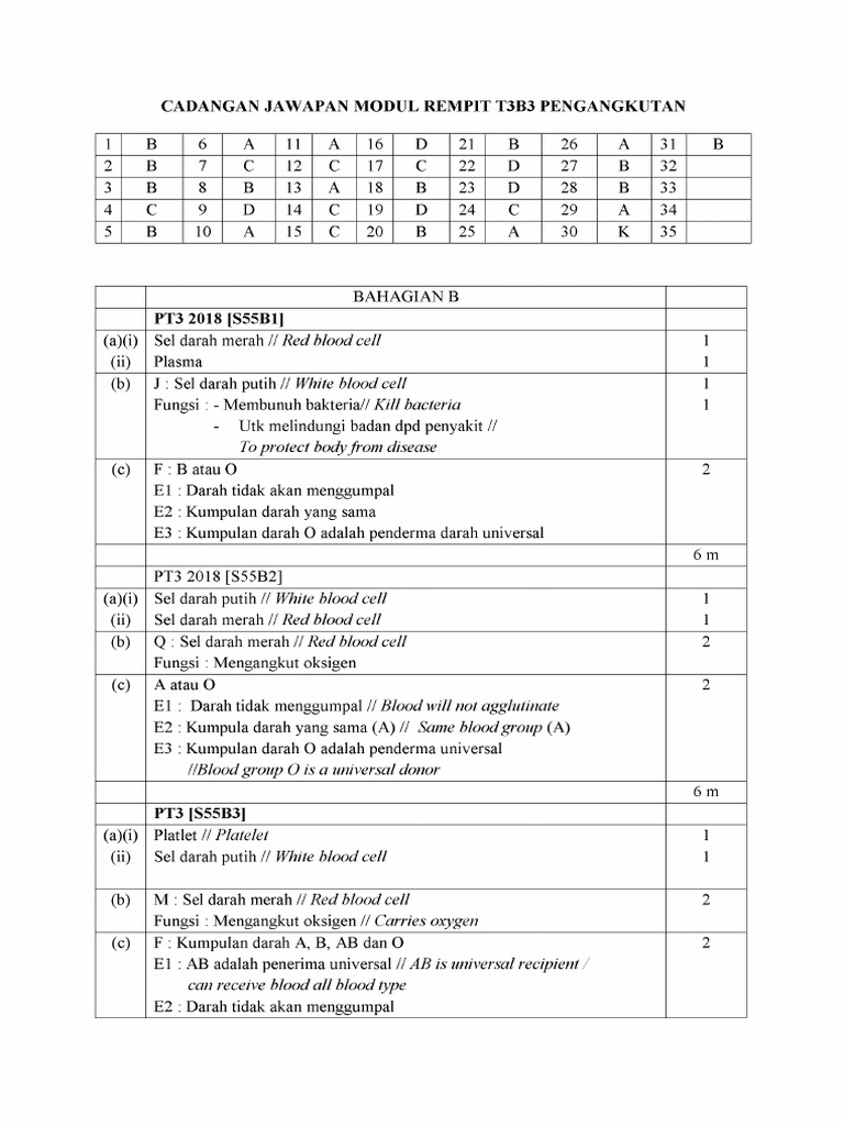 Cadangan Jawapan Modul Rempit Bab 3 Pdf Pdf