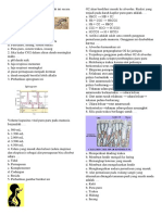 Soal Sistem Pernapasan Kelas 8 Sem 2