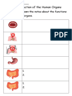 Human Organs (Revised 1.26)