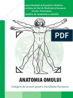 Anatomia Omului