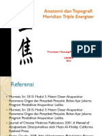 Anatomi Dan Topografi Meridian TE