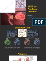 Papiloma Virus Humano - Medicina 1