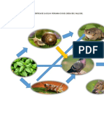 Biodiversidad Andina Junin PDF