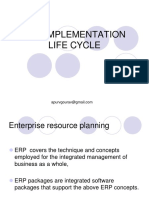 ERP Implementation Life Cycle