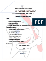 Grupo 3 de Fisiologia Paralelo 6