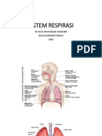 Review Anatomi Sistem Respirasi