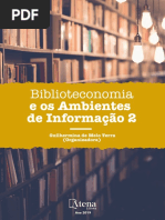 Biblioteconomia e Os Ambientes de Informacao 2.Indd